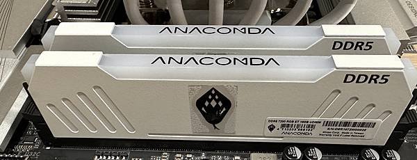 [開箱] 白色東方沙蟒 ANACOMDA ET DDR5 7