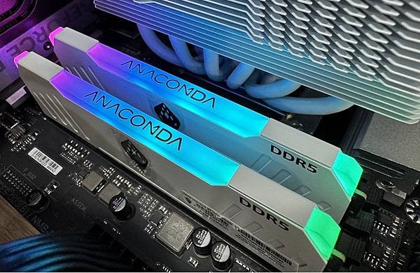 [開箱] 白色東方沙蟒 ANACOMDA ET DDR5 7