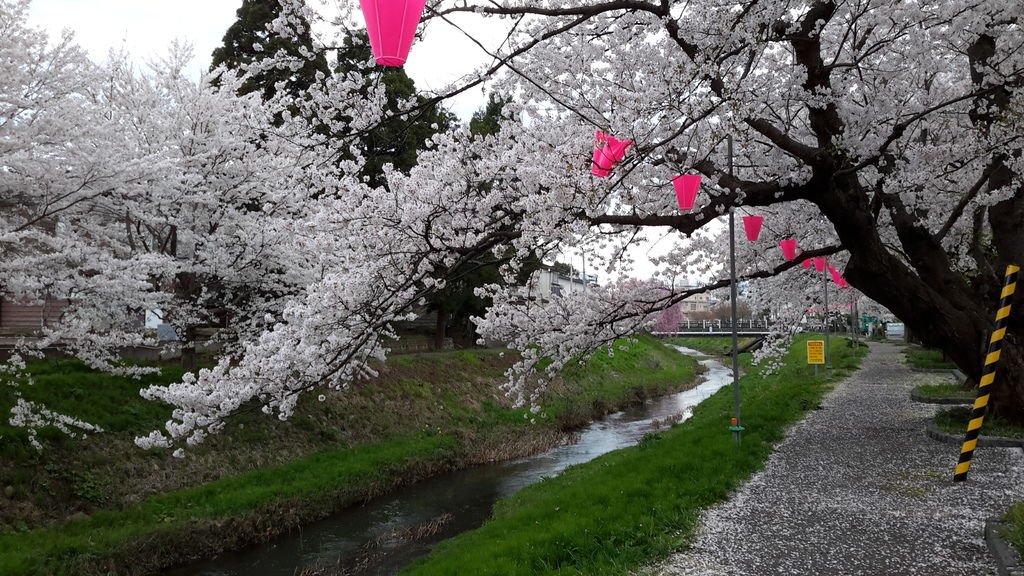 20170415_140552.jpg