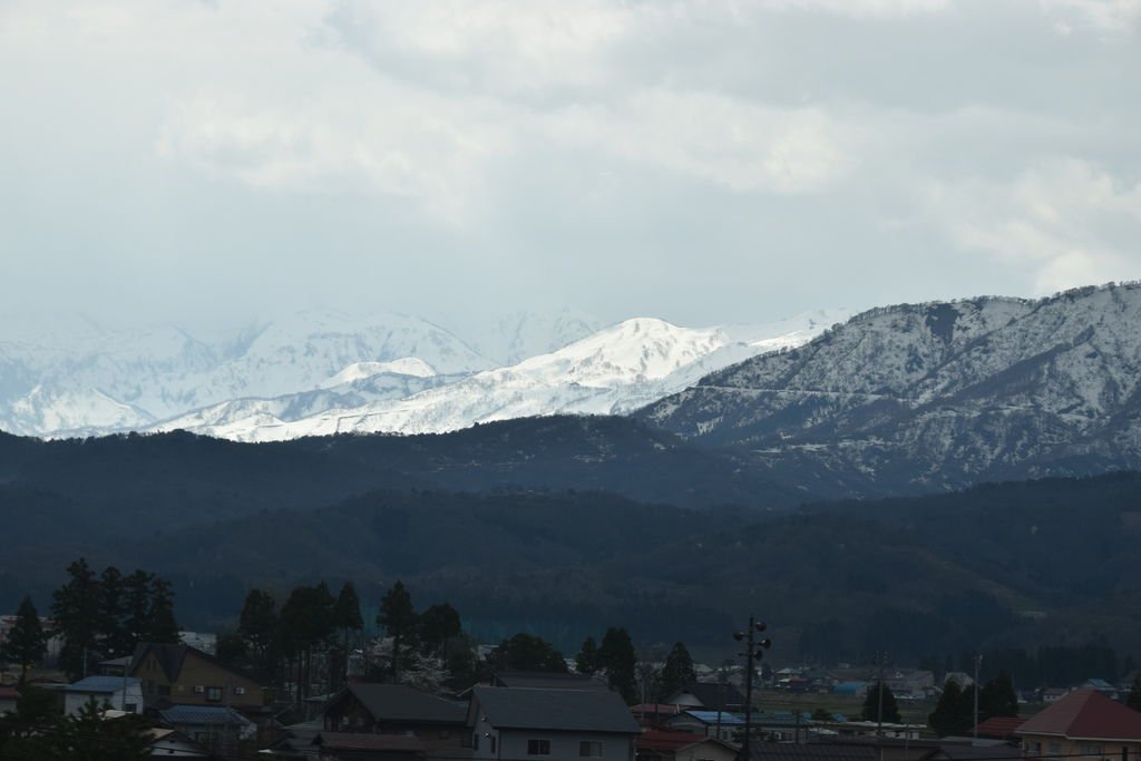 DSC_0183.JPG