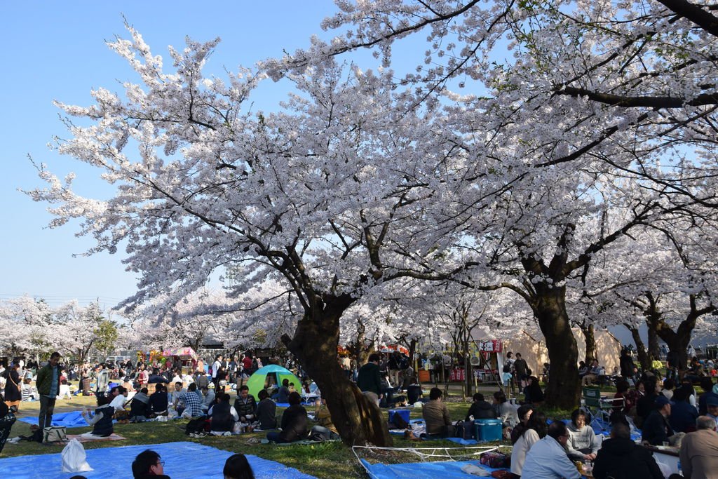 DSC_0403.JPG