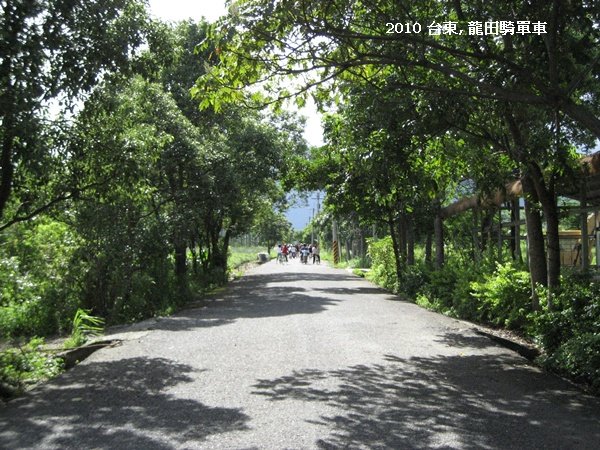 台東 龍田單車 1.JPG