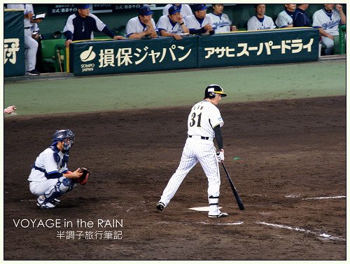 我的野球巡禮．甲子園球場