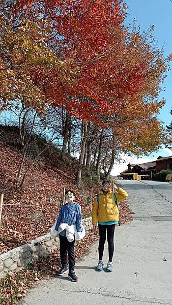 IMG_20210123_132150.jpg