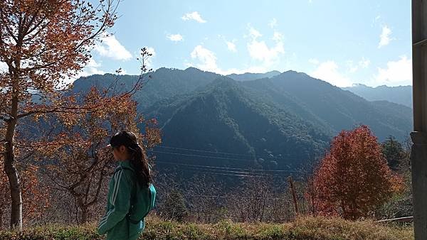 IMG_20210123_135545.jpg