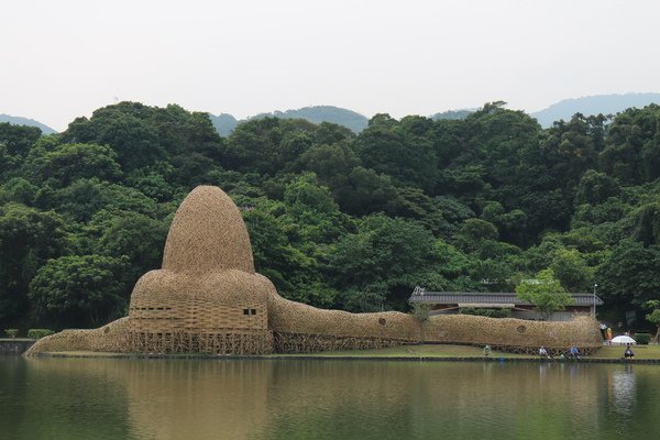 碧湖公園：4千根竹子編成！ 內湖夢幻新地標「碧湖織屋」