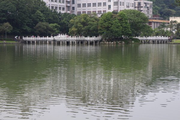 碧湖公園：4千根竹子編成！ 內湖夢幻新地標「碧湖織屋」