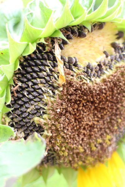 碧湖公園：4千根竹子編成！ 內湖夢幻新地標「碧湖織屋」