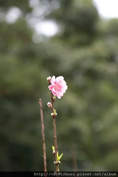 _MG_3011.jpg