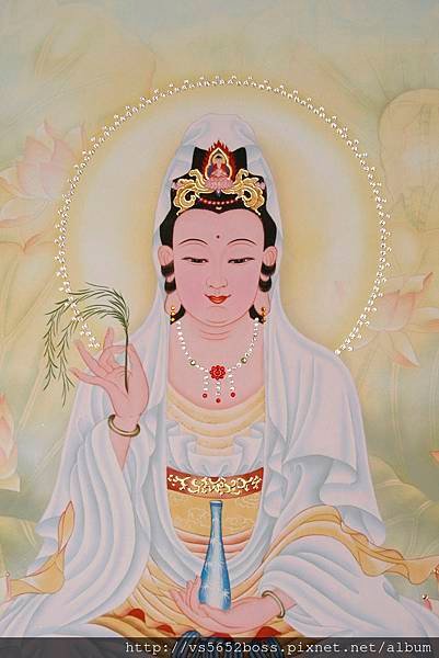 蓮池祥雲近照