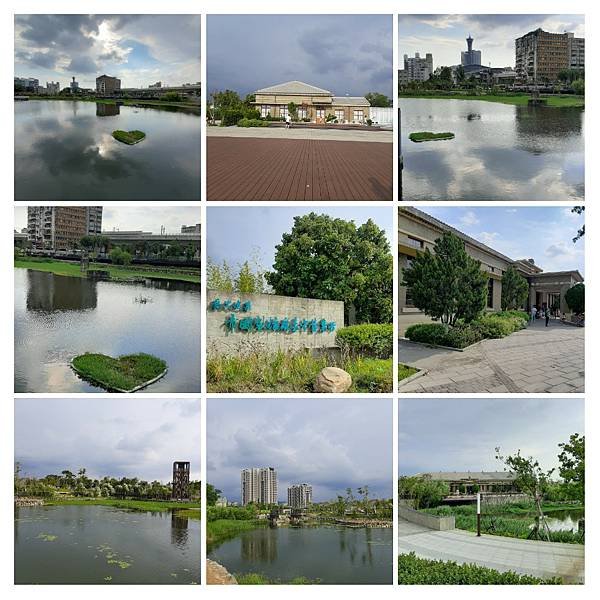 20200809_161451-COLLAGE.jpg