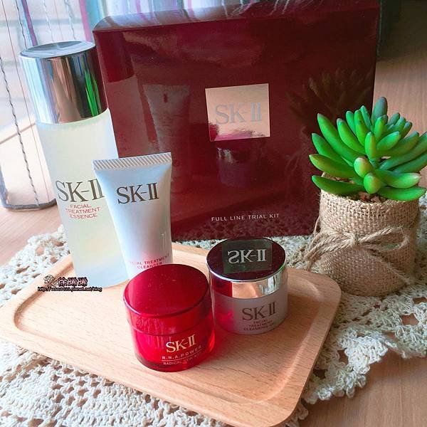 SKII (1).JPG