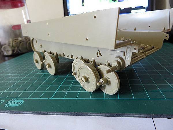 tigerw206.JPG