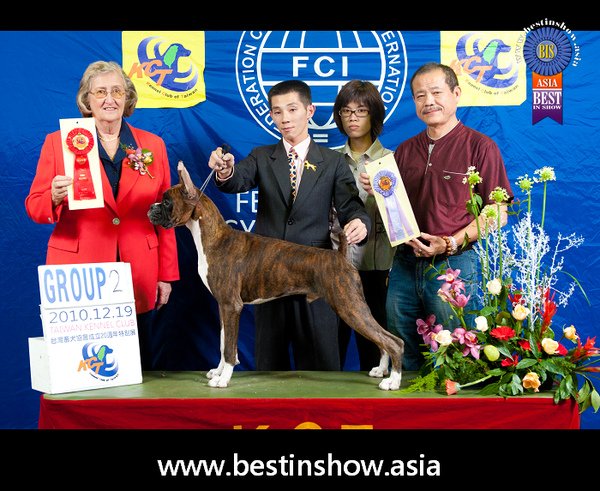 2010.12.19台灣畜犬協會台南犬展