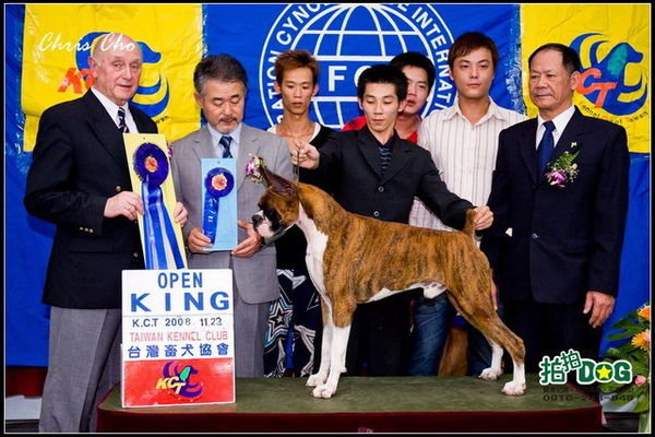 DOG SHOW