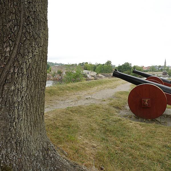 P1010009.JPG