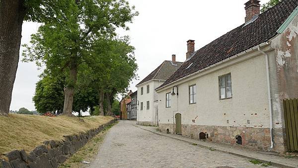 P1010011.JPG