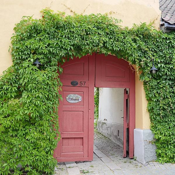 P1000860.JPG