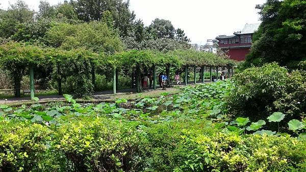 P_20160619_133302.jpg