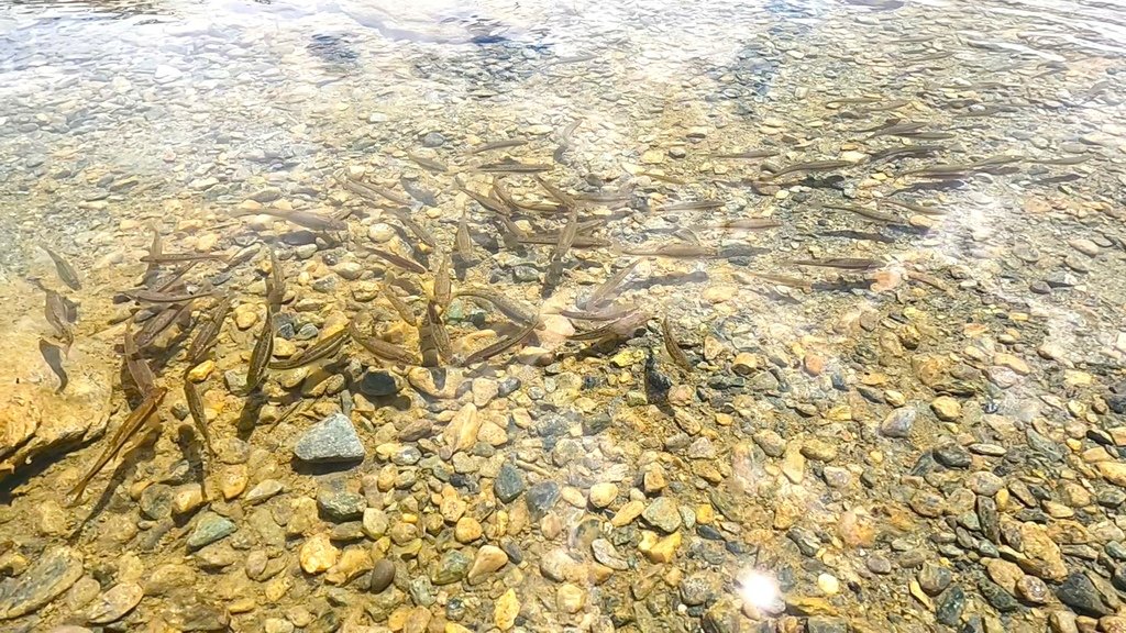 【瑞士】策馬特 | 五湖健行5-Seenweg，徜徉在阿爾卑