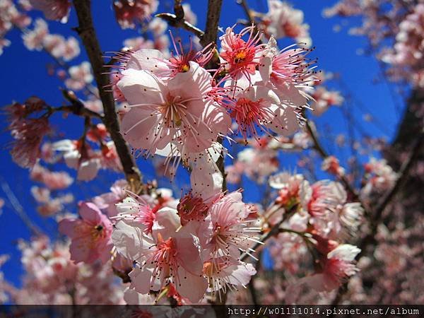 DSCN0317