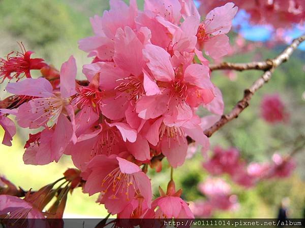 DSCN0512