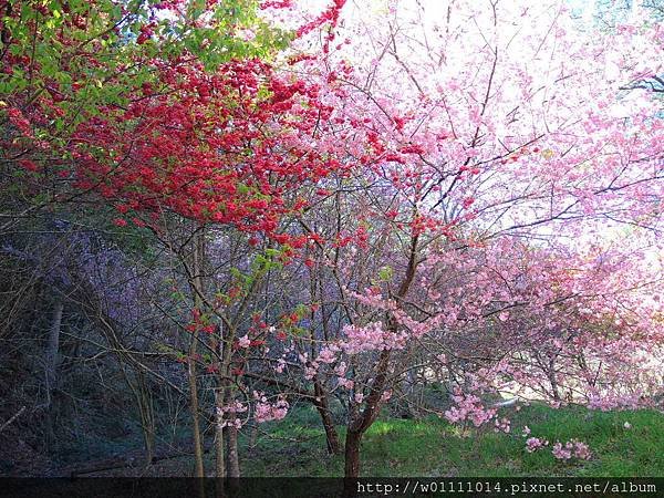 DSCN0651