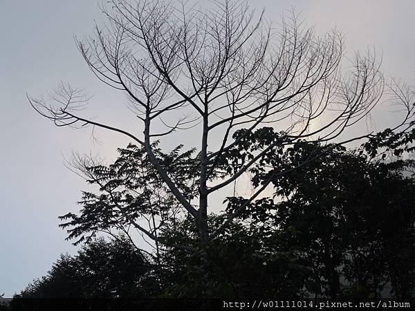 DSCN9328.JPG