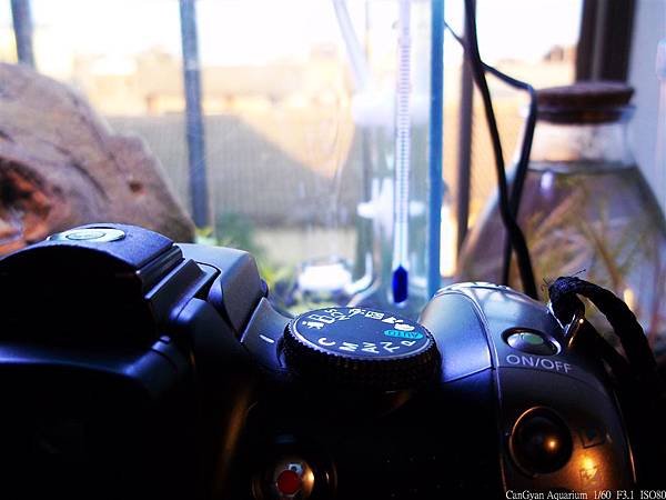 nEO_IMG_138_9965.jpg
