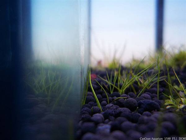 nEO_IMG_138_9982.jpg