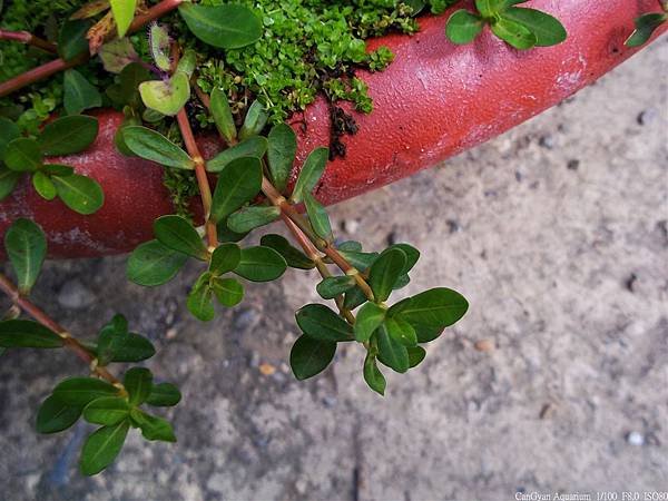 nEO_IMG_147_0556.jpg