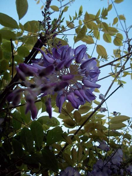 106_1819.JPG