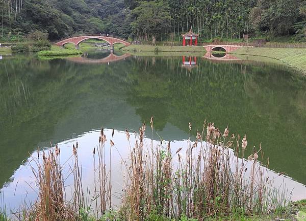 DSCN6526.JPG