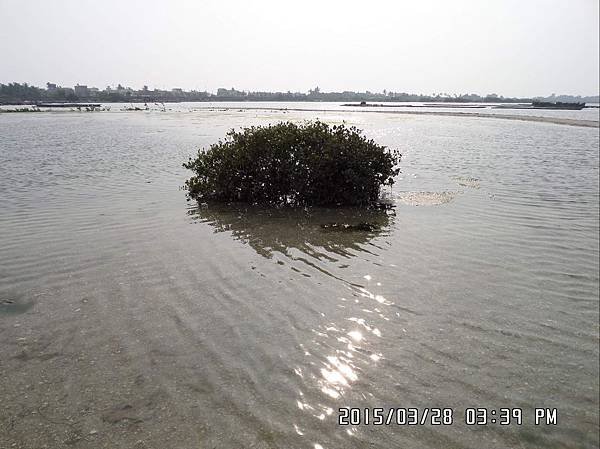 SAM_5603