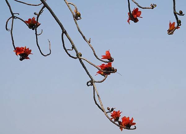 P1230958