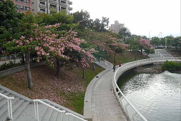 P1710864.JPG