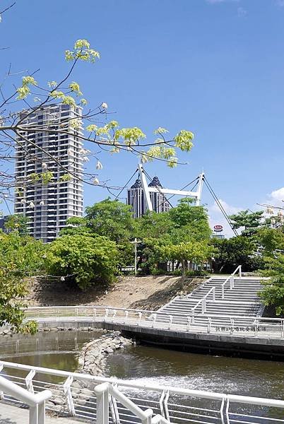P1760925.JPG