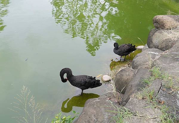 P1780482.JPG