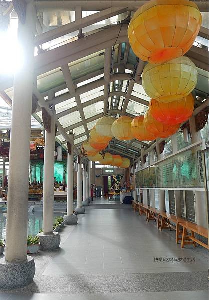 P1000660.JPG