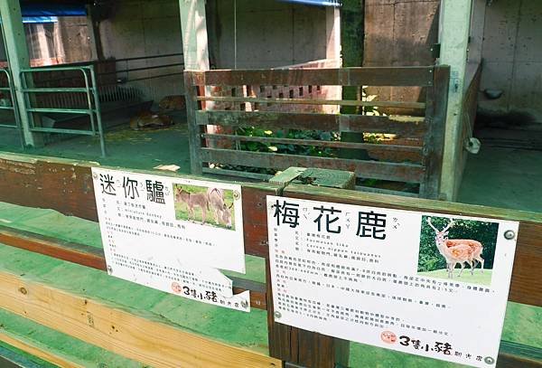 P1840282.jpg