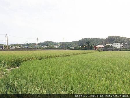 漂亮田園農地