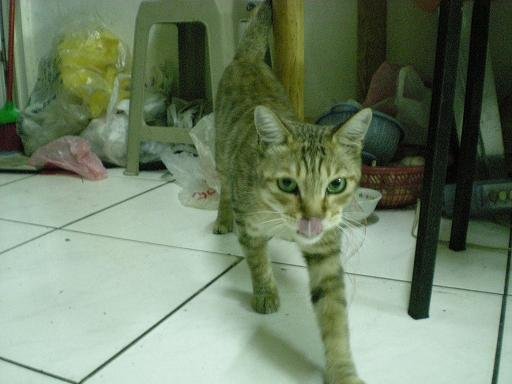 DSCN0645.JPG