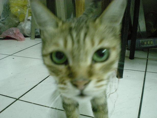 DSCN0646.JPG