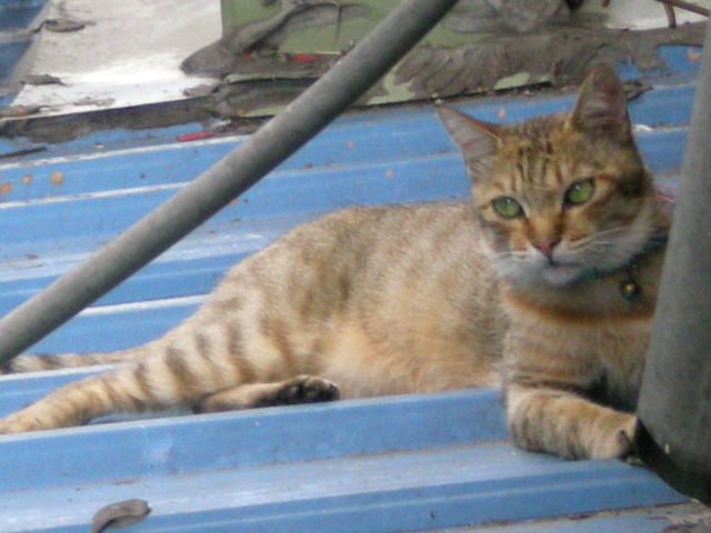 RSCN0671.JPG