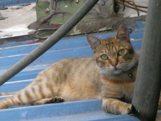 RSCN0697.JPG