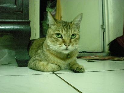 DSCN0785.JPG