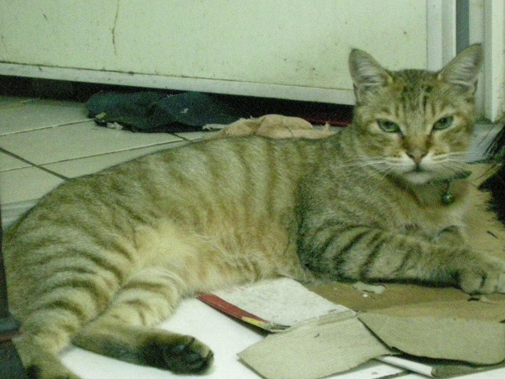 RSCN9783.JPG