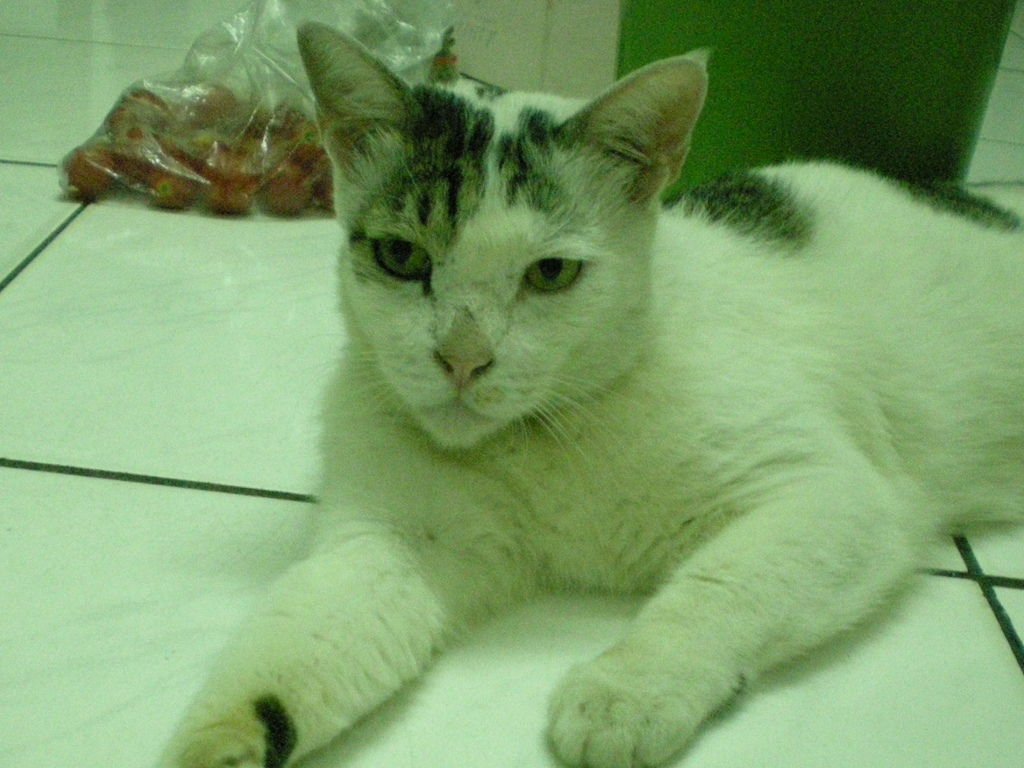 RSCN9784.JPG