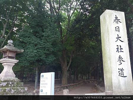 2014-07-27-10-08-57_photo