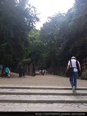 2014-07-27-10-22-34_photo